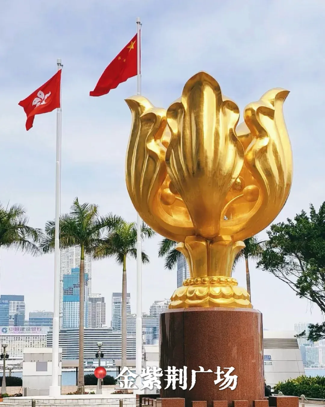 02f4ff1f6ea377d6608ea259248d5679-sz_2222590