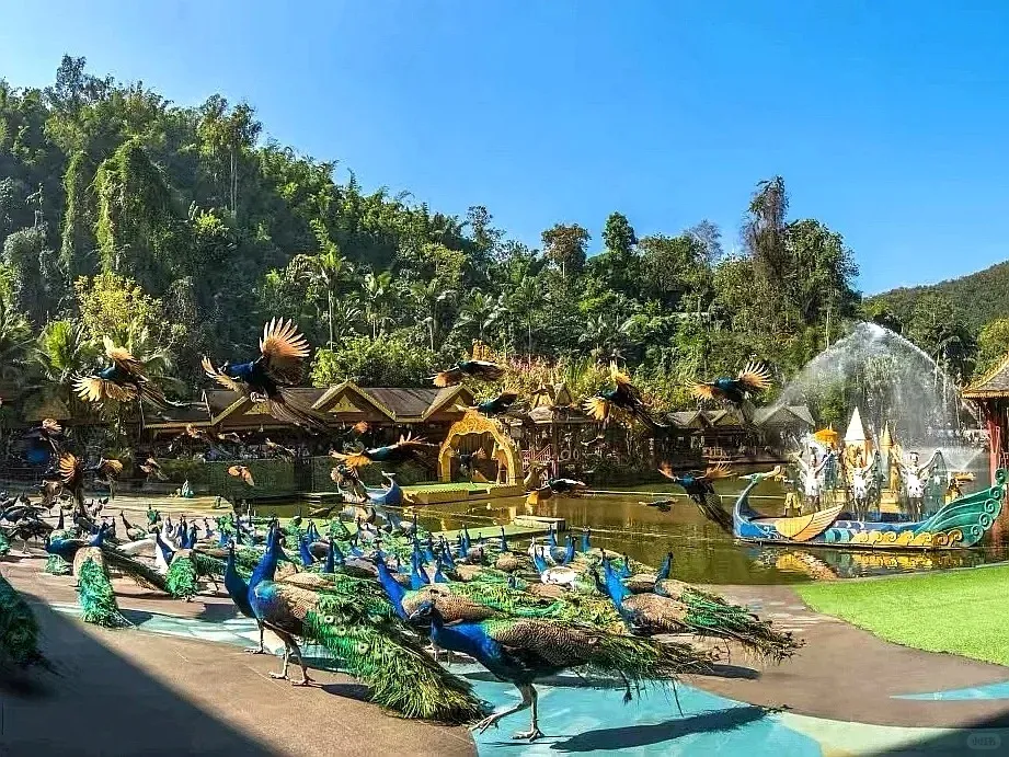 02f6d232c16560a308d740590f6e4474-sz_307617