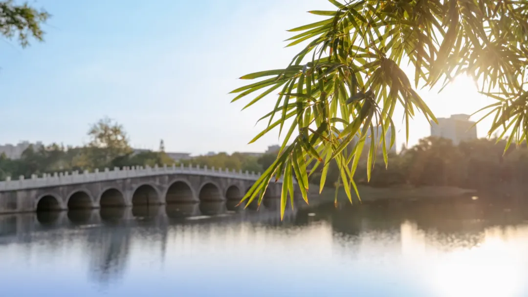 034971785d13906fc8c35e22e86546f0-sz_2370151