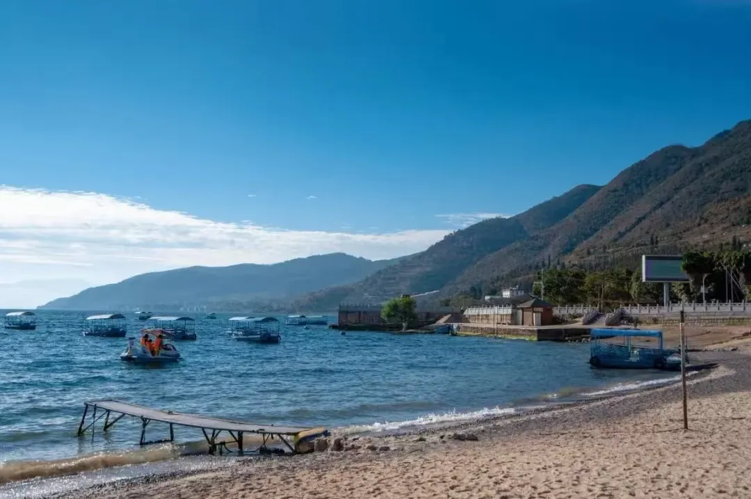 0350432ed96c6f850a762ca86ecf2365-sz_1228463 0350432ed96c6f850a762ca86ecf2365-sz_1228463