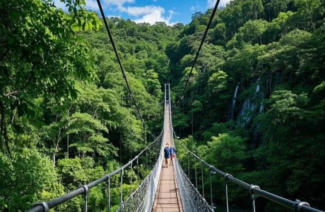 035160ad32d963ce00553b55c2386153-sz_2558581