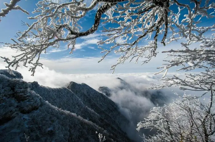 036f803a21e4c82752f188f7f1e407e0-sz_88857