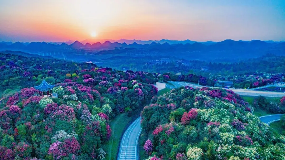 0381c8c0bd3999bc701c92a1c48d0075-sz_140112