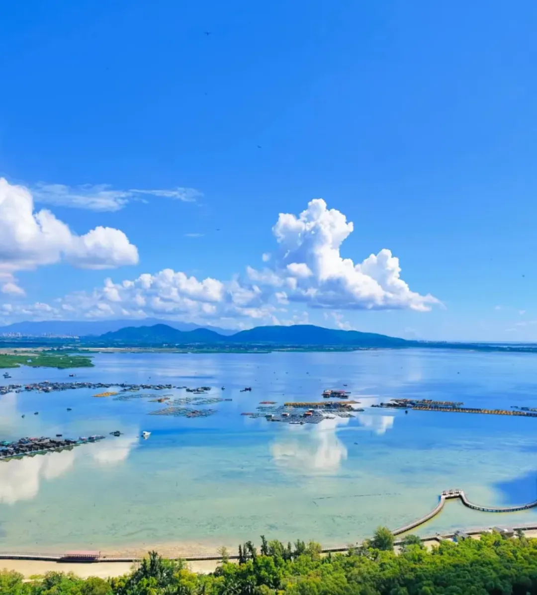 03d82df40149326207a0f2988ebe733b-sz_1411469