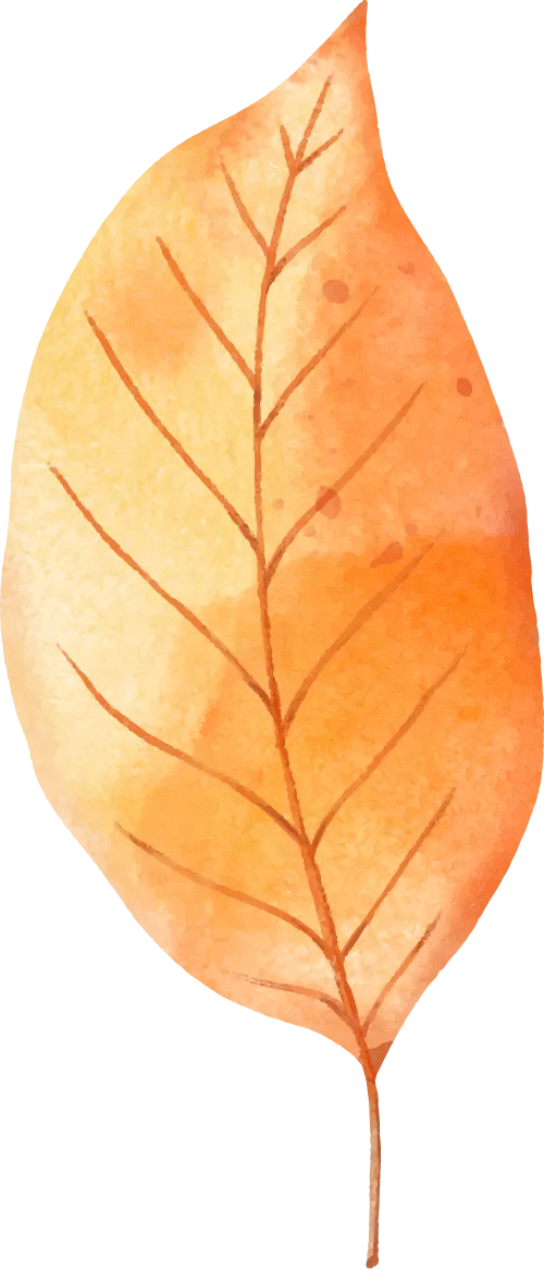 041d535eed9b14bd2b9c15a2144fa06c_sz-440089 041d535eed9b14bd2b9c15a2144fa06c_sz-440089