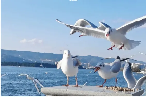 042b37e61692f32be0f0d082707aa73d-sz_361013 042b37e61692f32be0f0d082707aa73d-sz_361013