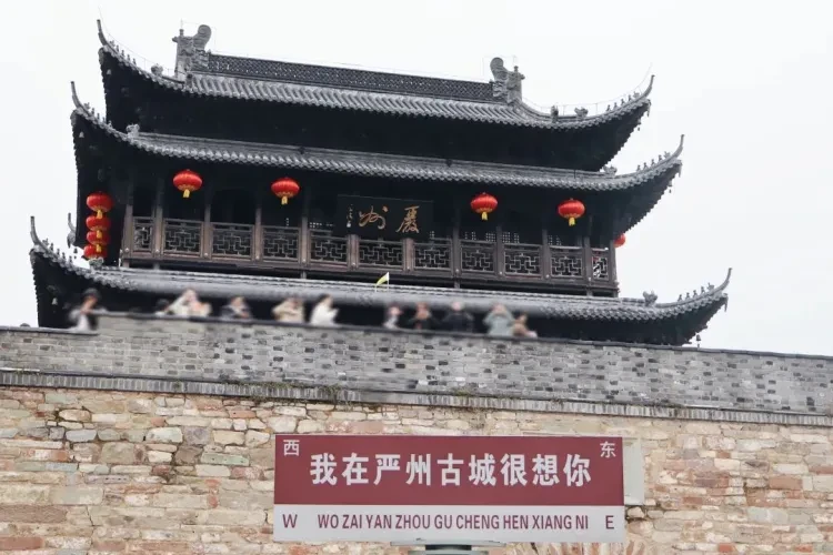 043efa69e08620d70c61bf493bddf346-sz_137716