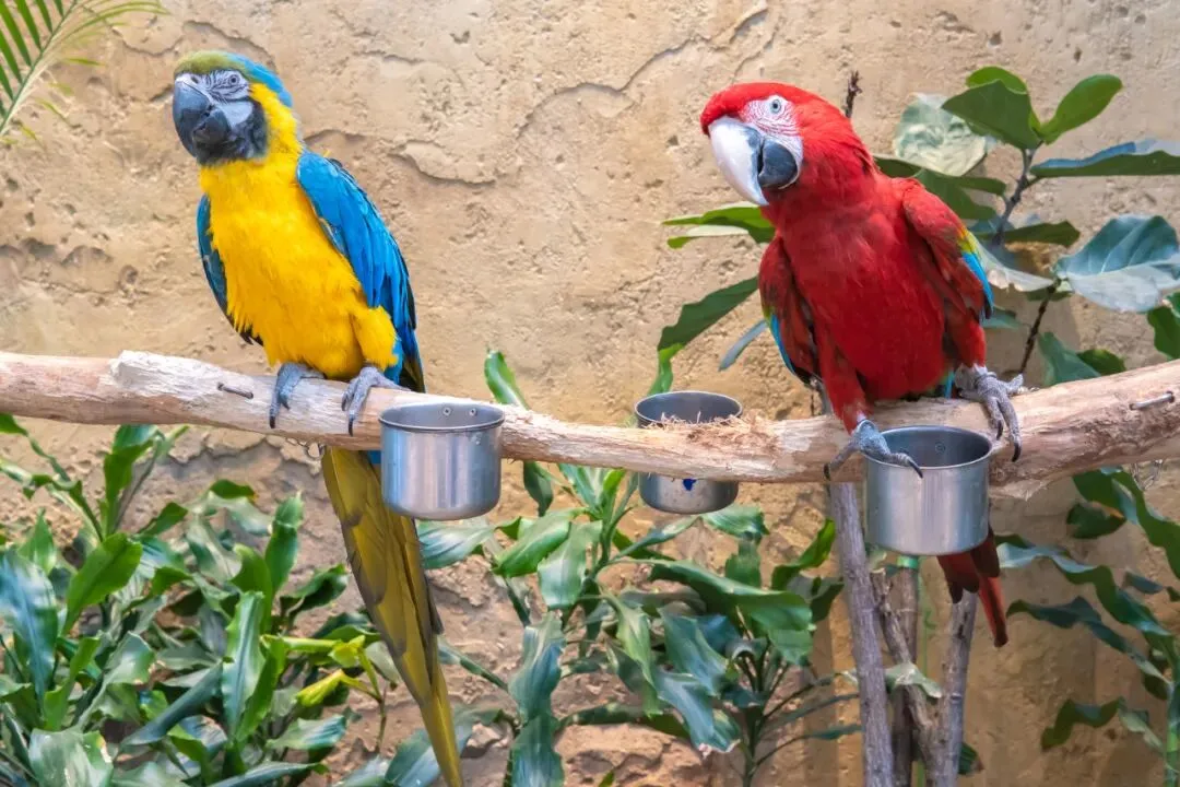 045ca19efe141aadc9ae48616046b484-sz_151017