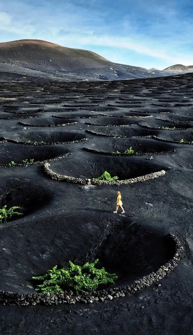 0477946d09c43cfe09a7afd50d3bcc13-sz_502184