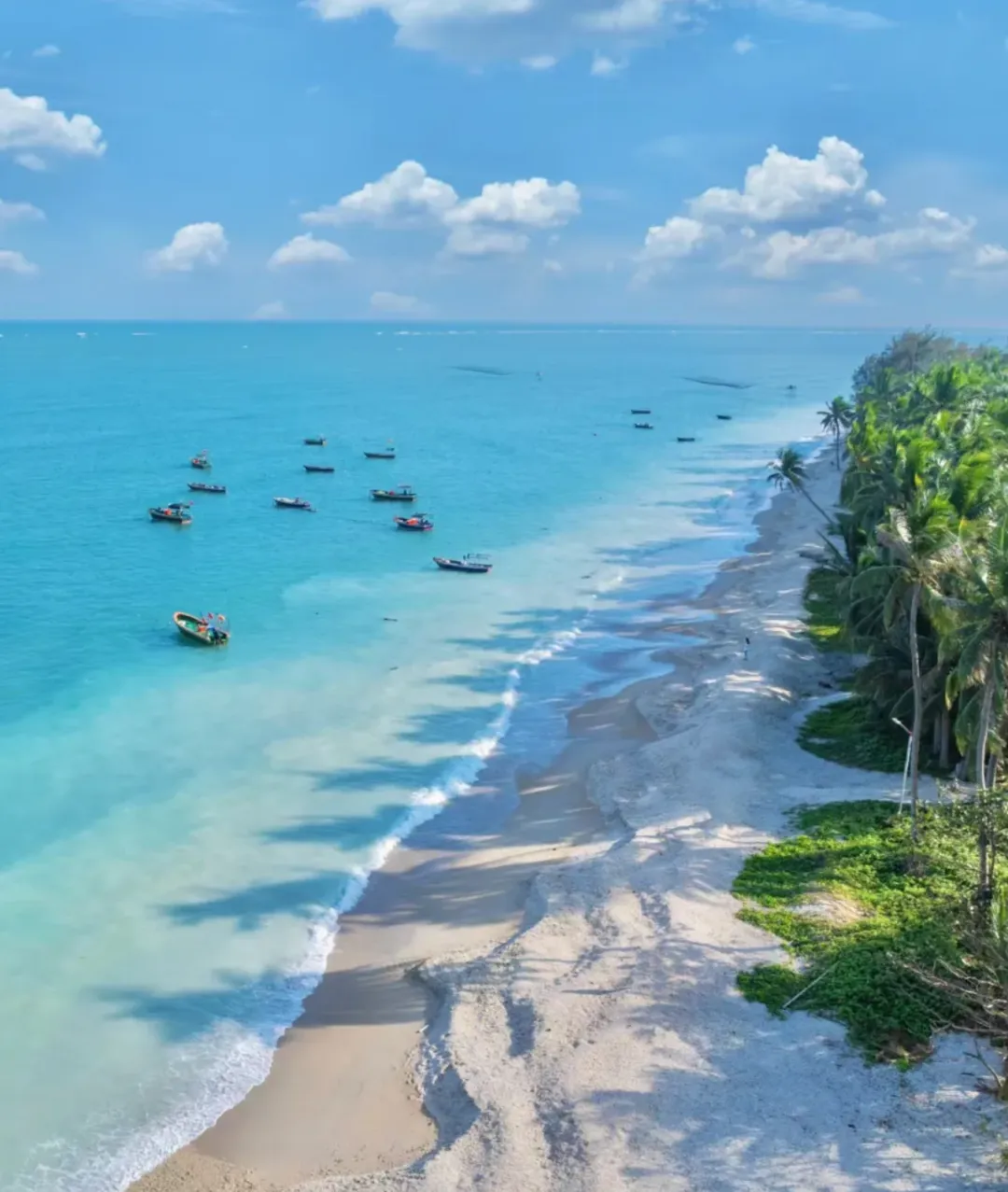 047cbfa7a686ead09f5ade197c08fbda-sz_2496942