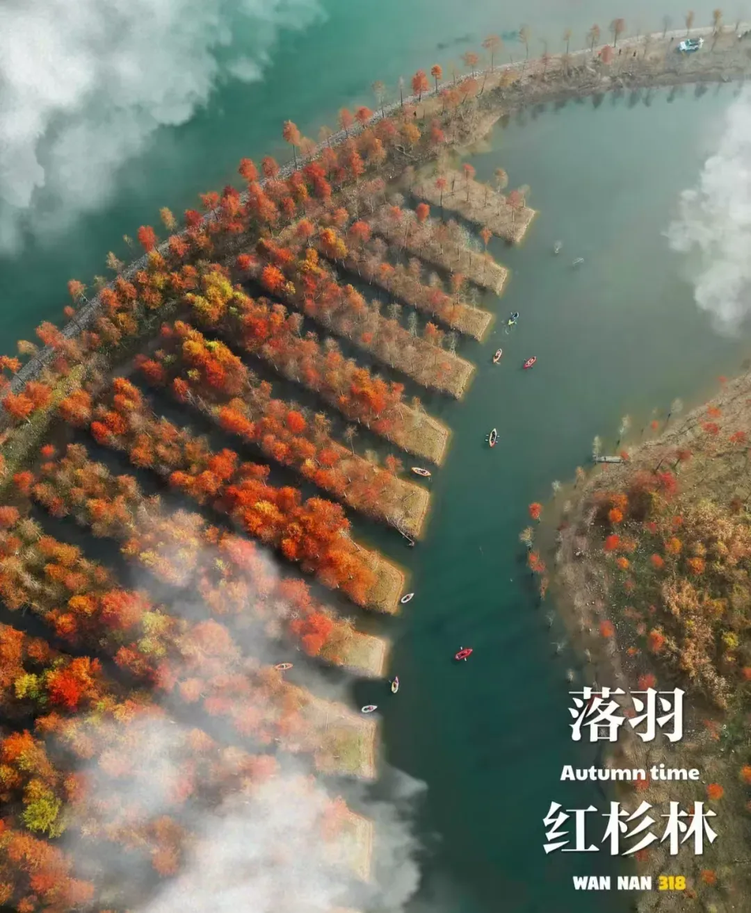 0482d4fa43567e2738b66306bc395c9b-sz_2655501