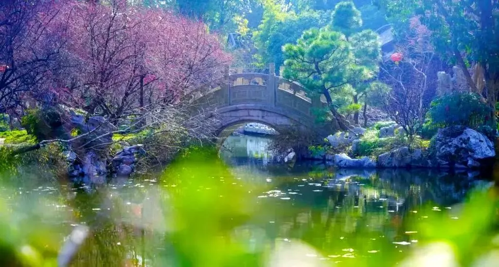 048739dbf3ebae0a61bba2e5549df31c-sz_128881 048739dbf3ebae0a61bba2e5549df31c-sz_128881