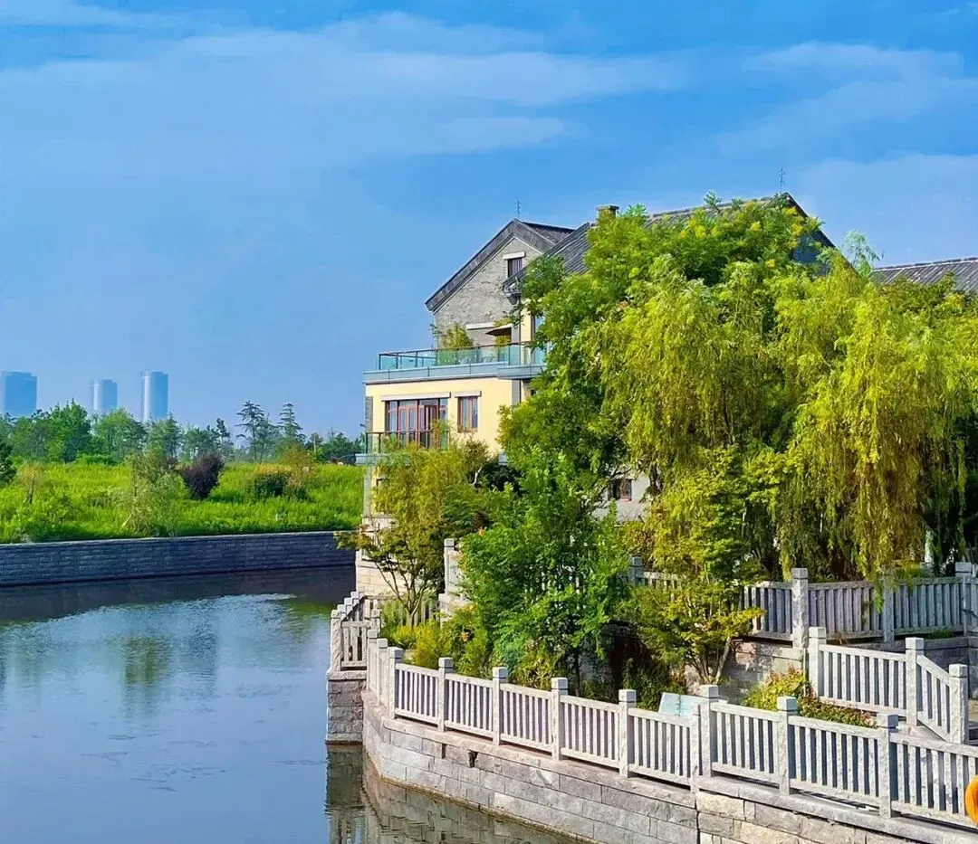 049bc2f40b376a15c96ff66d25221e7f-sz_208154