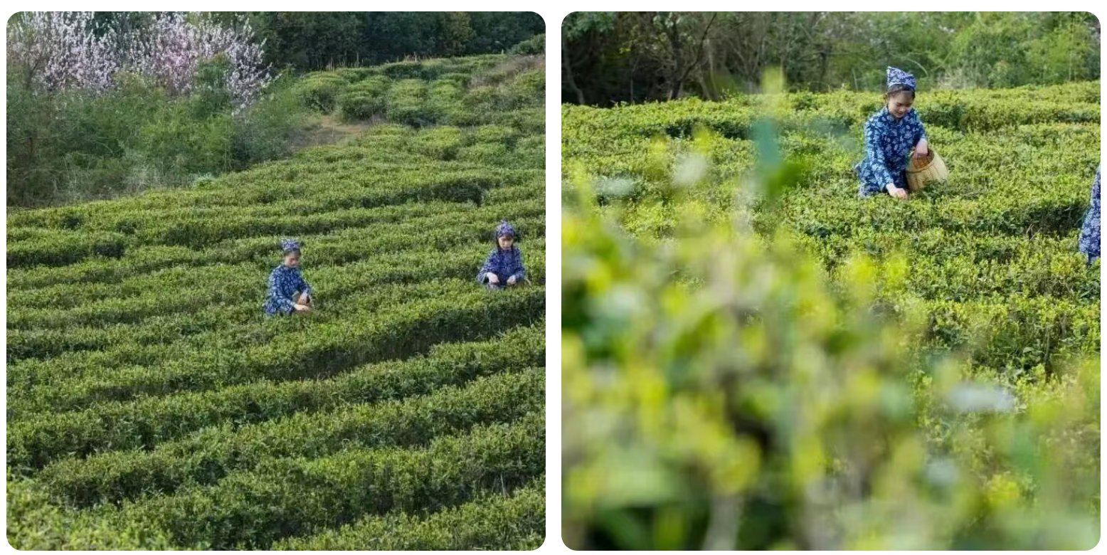 04e69cb6f3d59aa1d3e4687f943e8530 04e69cb6f3d59aa1d3e4687f943e8530