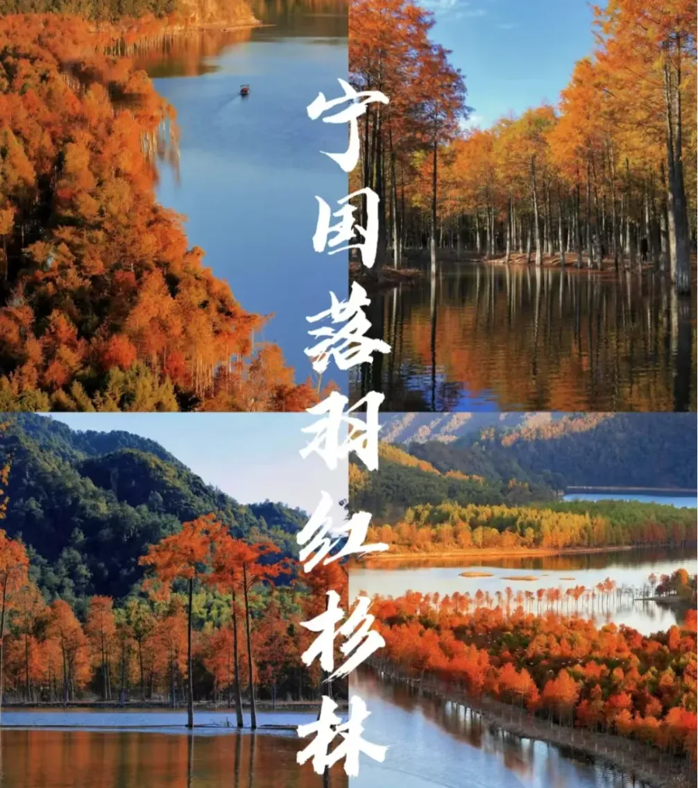 051a0c398ce53147cc89effbb6d7fb4e-sz_1593020