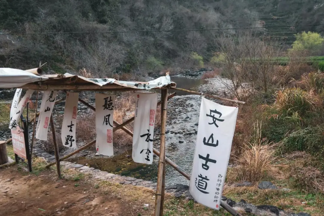 0580df53336960c7b187155df813fa17-sz_208593-1