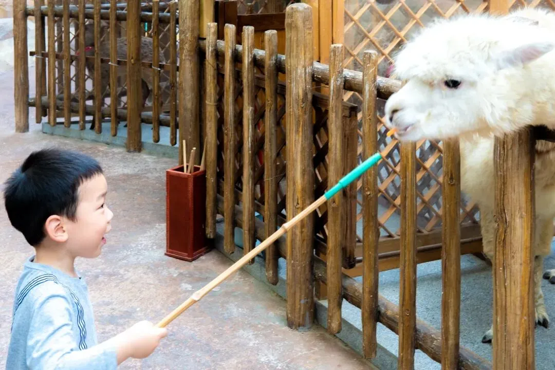 05e7e3963c940b70158aec699c30f1cb-sz_139288