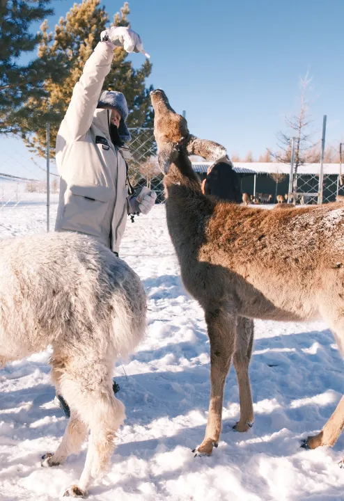 062047b07374e68c89d0e00943ab105a-sz_11504229 062047b07374e68c89d0e00943ab105a-sz_11504229