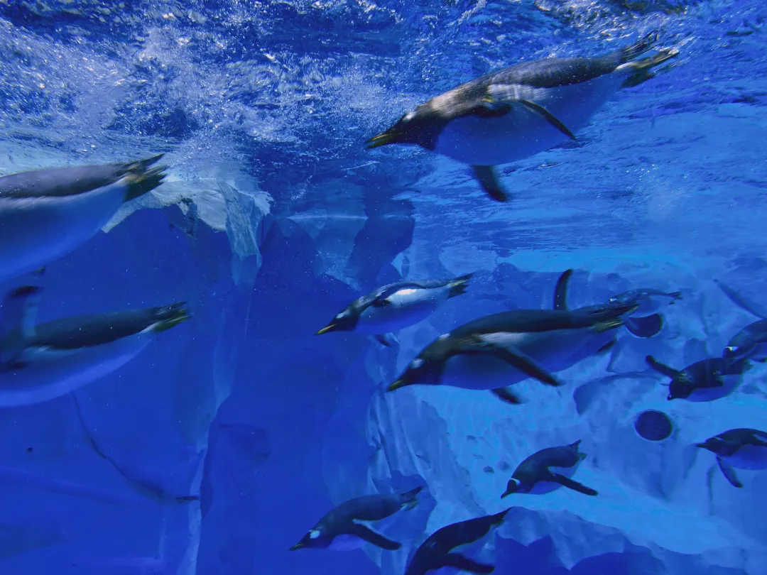 06551866c9241d9fb1189e867af9b519-sz_3476387 06551866c9241d9fb1189e867af9b519-sz_3476387