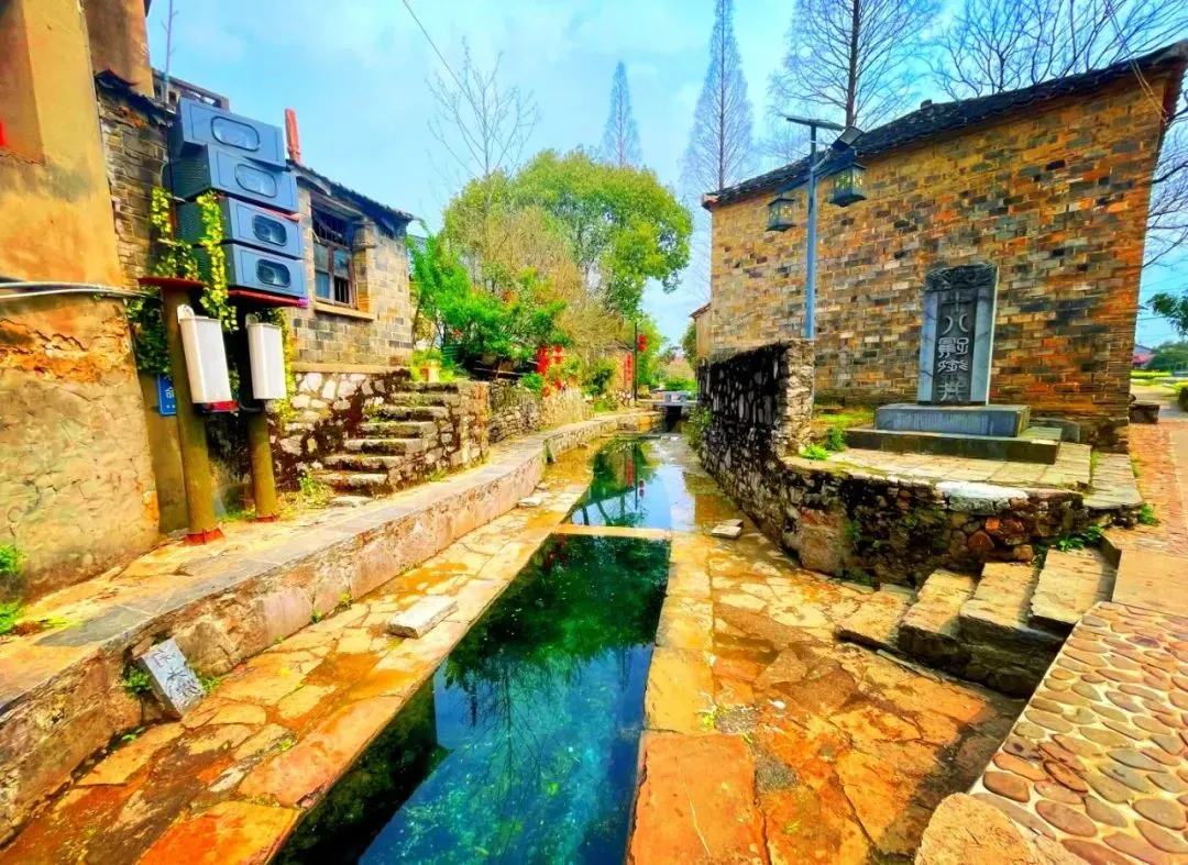 067f9546acf76b33824fc286a824cfcf-sz_218564