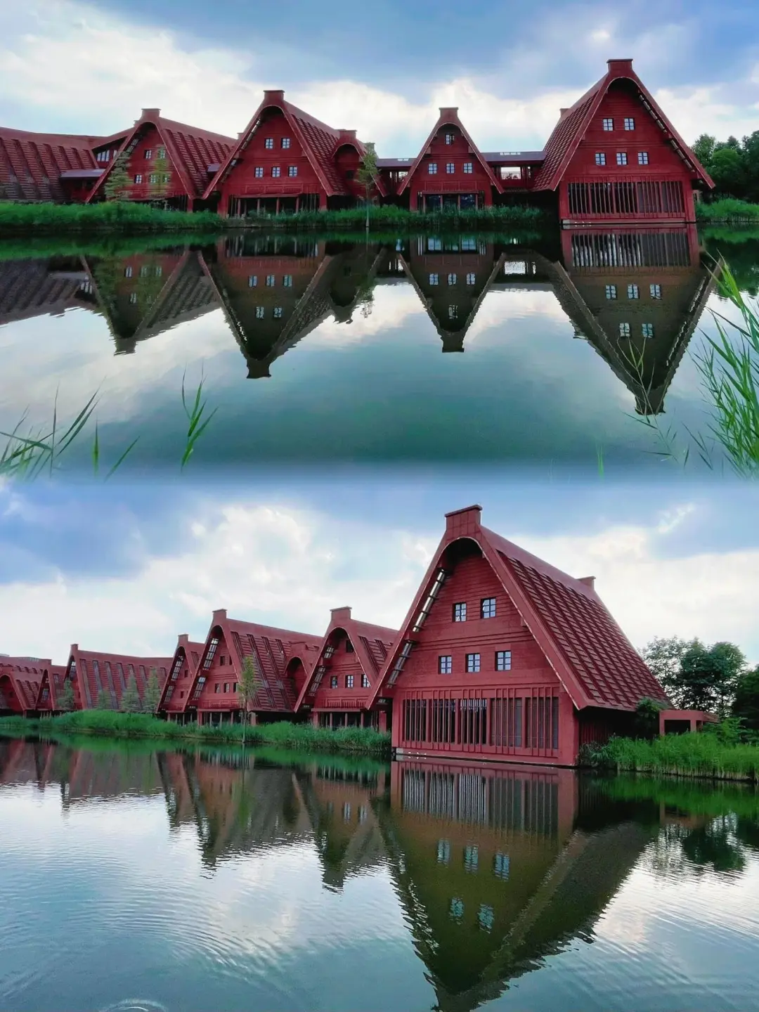 06d5de46beef7c336ff24c16b2e4cb3e-sz_343880