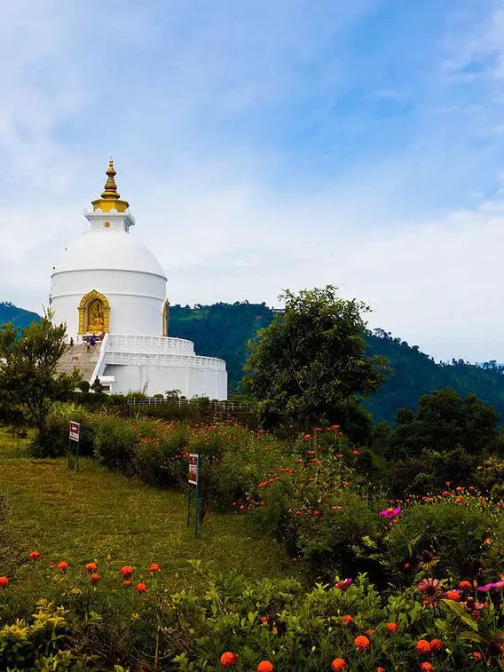 06d9a29f3b66315c00c9d14c958b89e5-sz_141498-1 06d9a29f3b66315c00c9d14c958b89e5-sz_141498-1