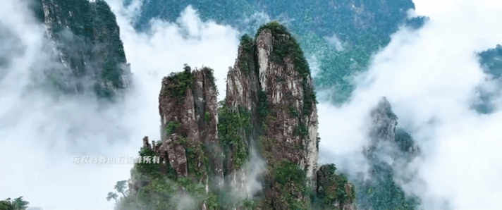 06de916c4a249584c0bd8810d32d1cd7-sz_9764571