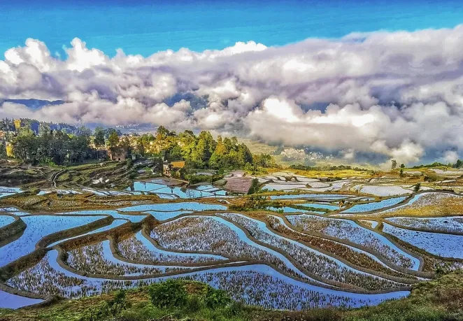 云南的另一面·滇东南-十天九晚康养游