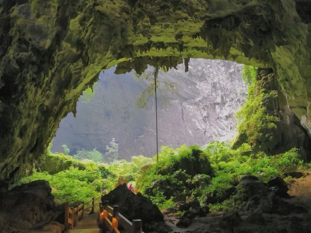 07684903e34a817cf992e3069f0249c8-sz_1843278-1