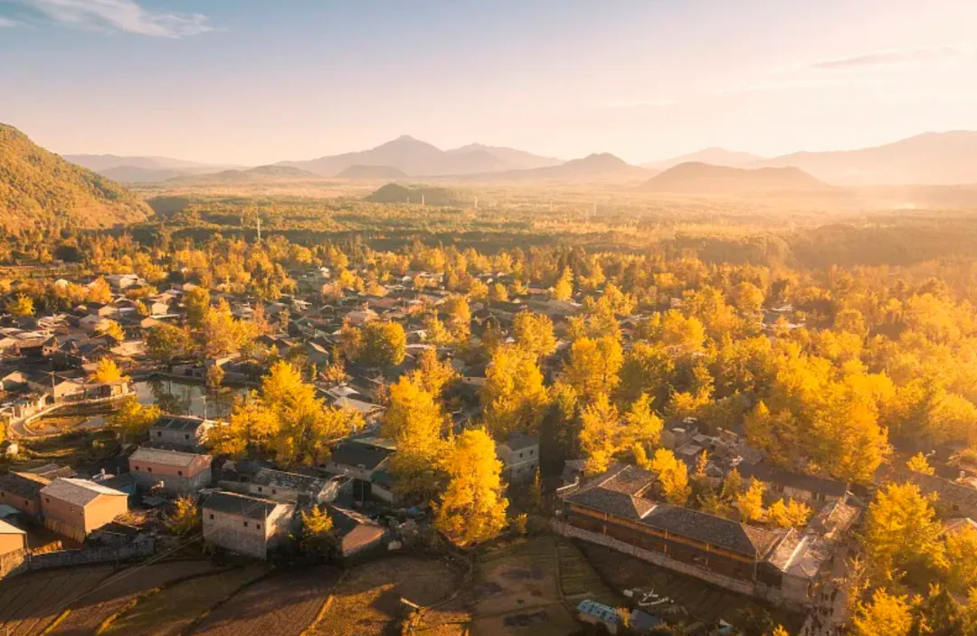 07760ea310cd8755eab5261d59497d88-sz_1780038