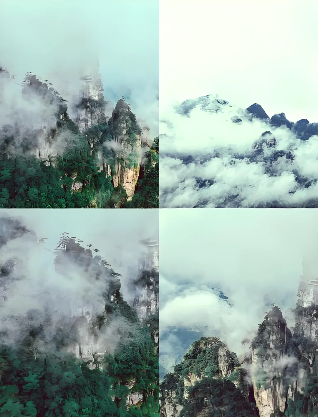 078b97745a461cca4ffd1bc7ea98eb9a-sz_3916927-1