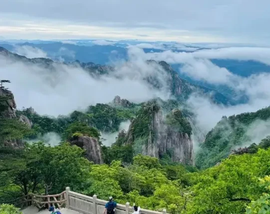 079d6cfdfe8de0299637b6499239651f-sz_398560 079d6cfdfe8de0299637b6499239651f-sz_398560