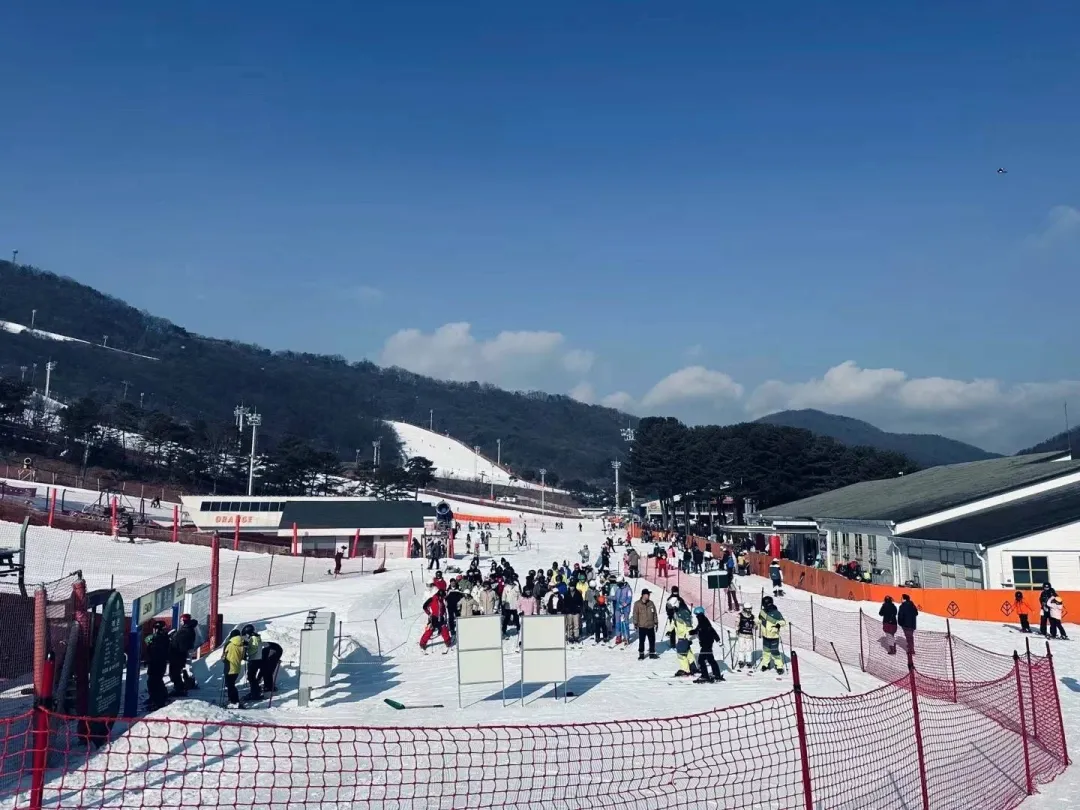 07c4643bb2b560ac8332f62eae74c198-sz_355409