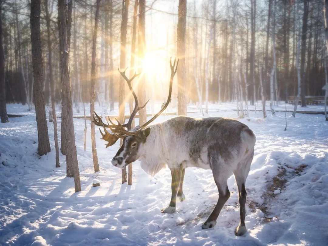 07ebfa1a66498e7c5f8121650070809b-sz_239196