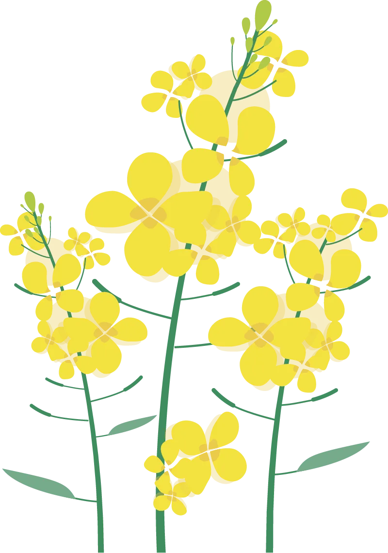 08172018732046a3a460e6e42b3c1ca4_sz-129222