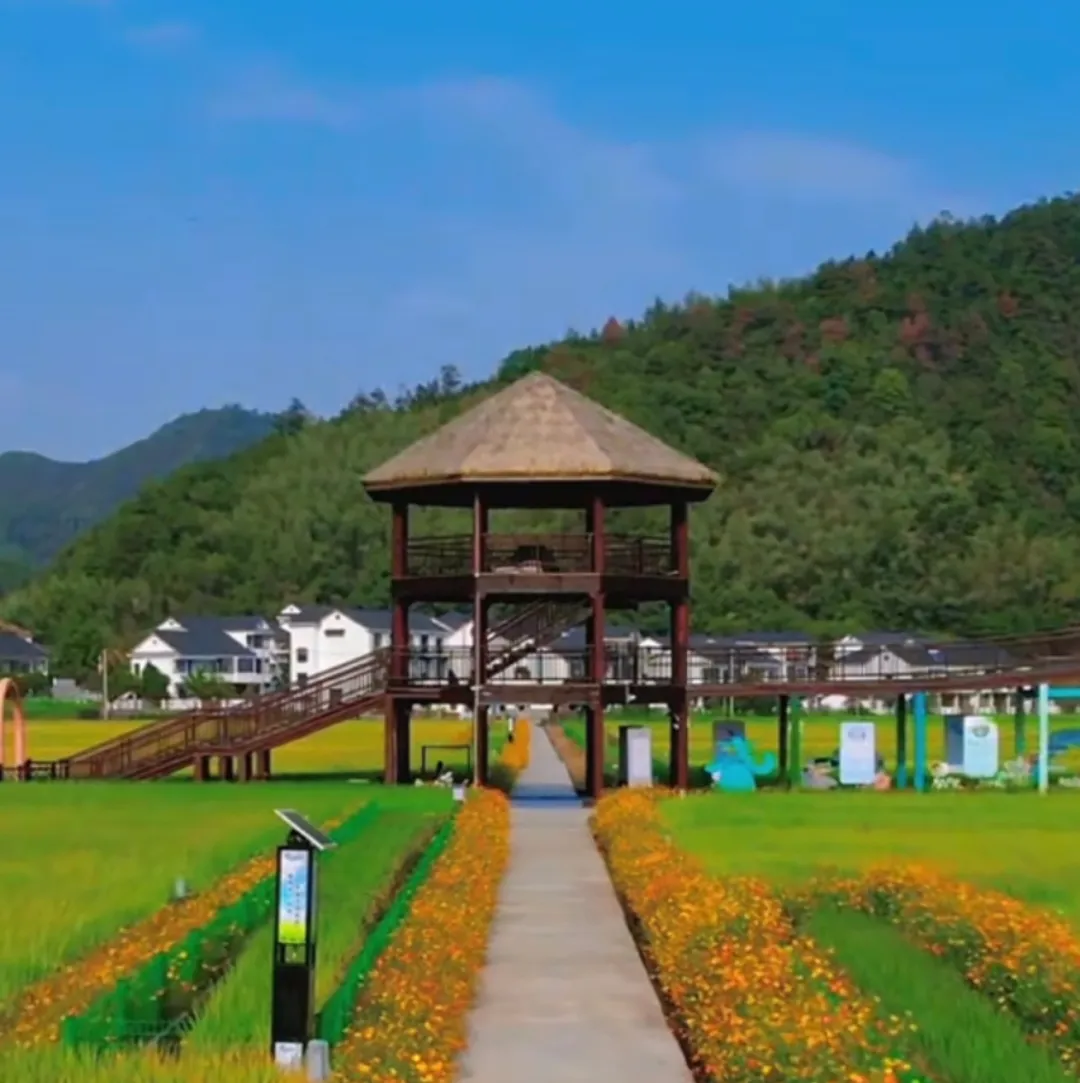 08320be50375481c965cfb75eaa86ec1-sz_2827423