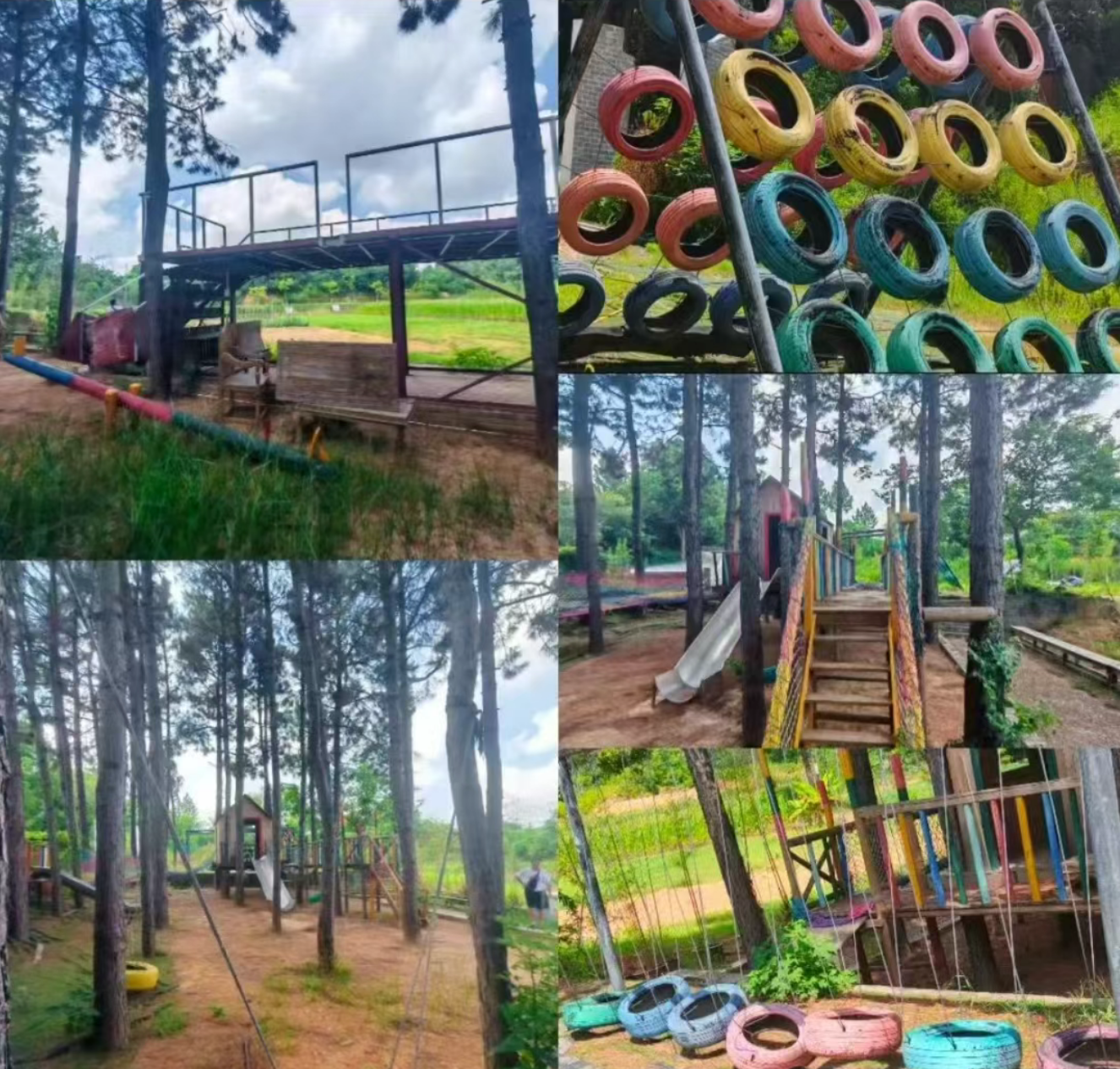 08337f082e945f5f831af6344a4b6f77