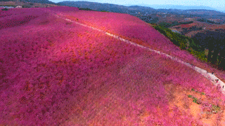 084322111c5923b74c3d7138145d37fb-sz_1484970 084322111c5923b74c3d7138145d37fb-sz_1484970