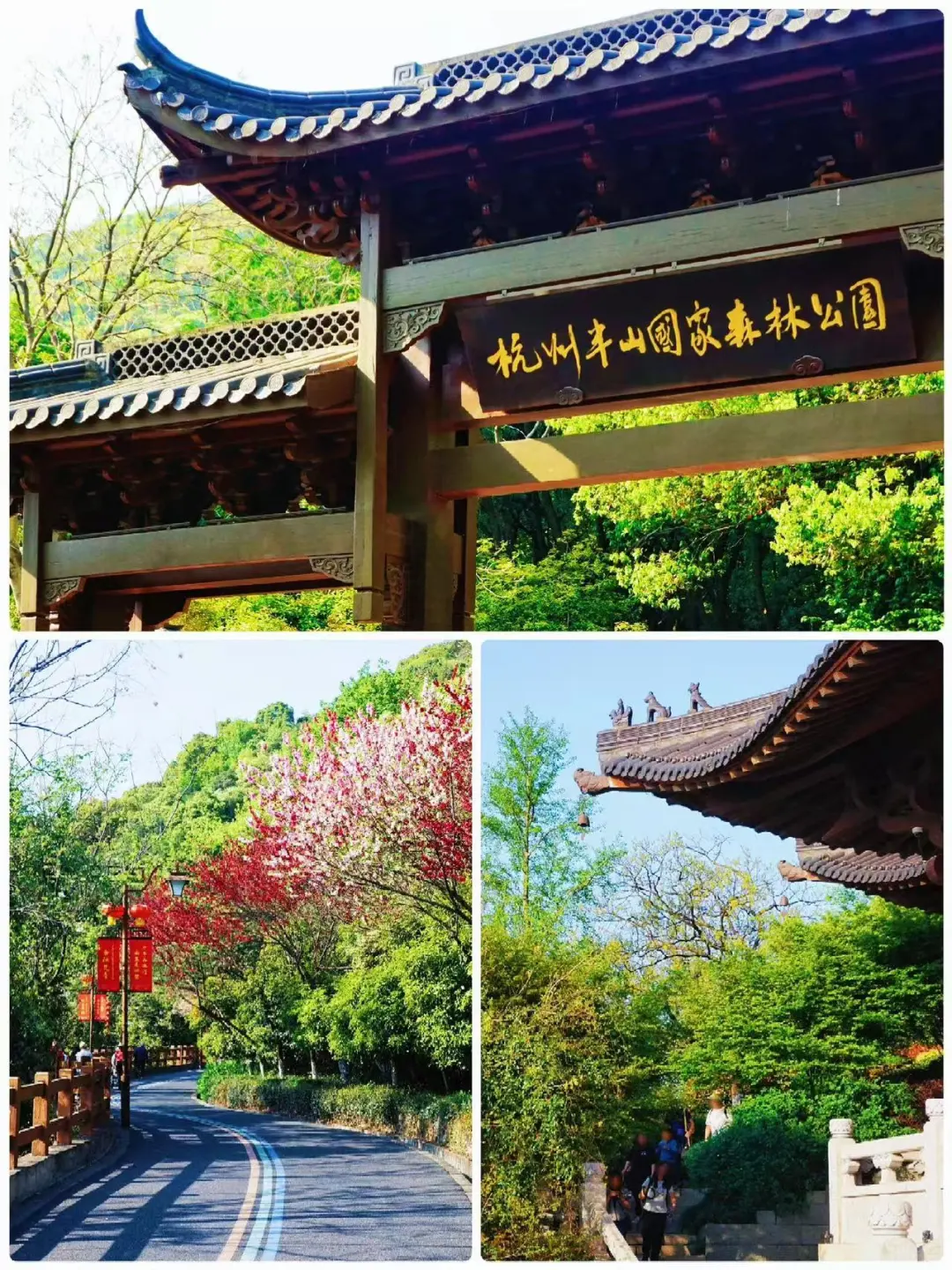 0868bf1d28cbdf3342c8484f13ef15bc-sz_517200