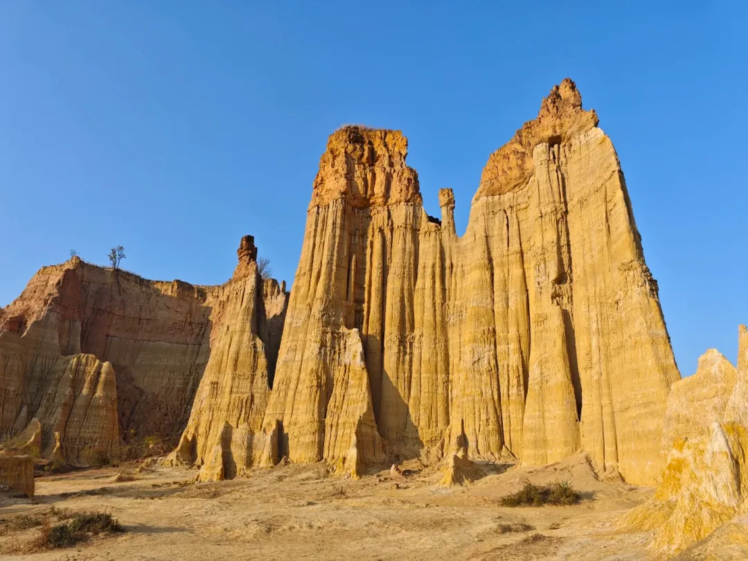 089a55708c5ccf9ab147e8be73765856-sz_2082802