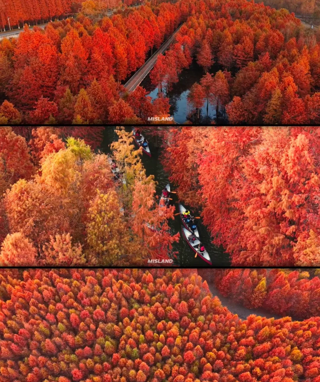 08aa17c5d7ac6cfe681da4674b986af5-sz_2137650