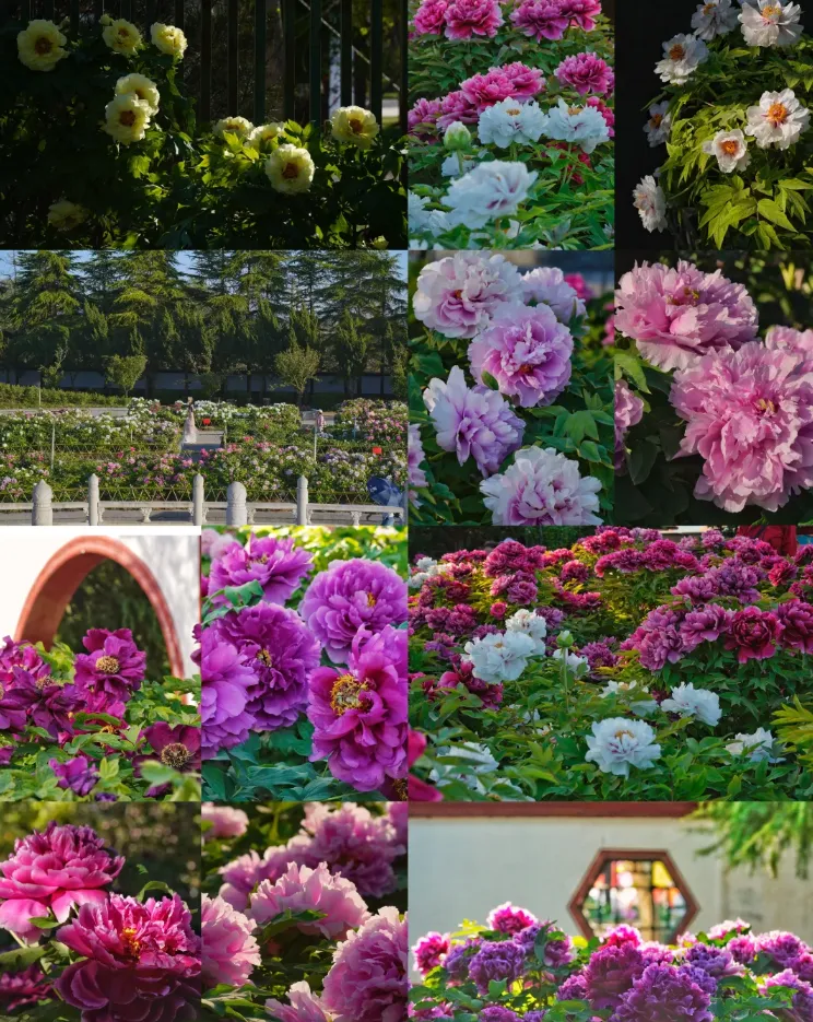 08de728728fad1c80ca3451f59989ca3-sz_1520829 08de728728fad1c80ca3451f59989ca3-sz_1520829