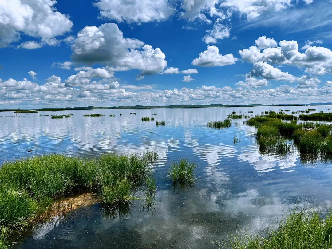 08fec8a086f1ba19cb1ce45c883f70e4-sz_1039734 08fec8a086f1ba19cb1ce45c883f70e4-sz_1039734