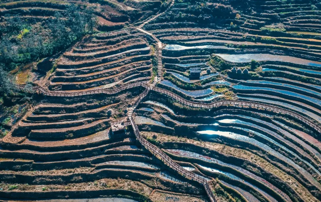 0908f24bf15716e313a28ada91e05b13-sz_2662526 0908f24bf15716e313a28ada91e05b13-sz_2662526