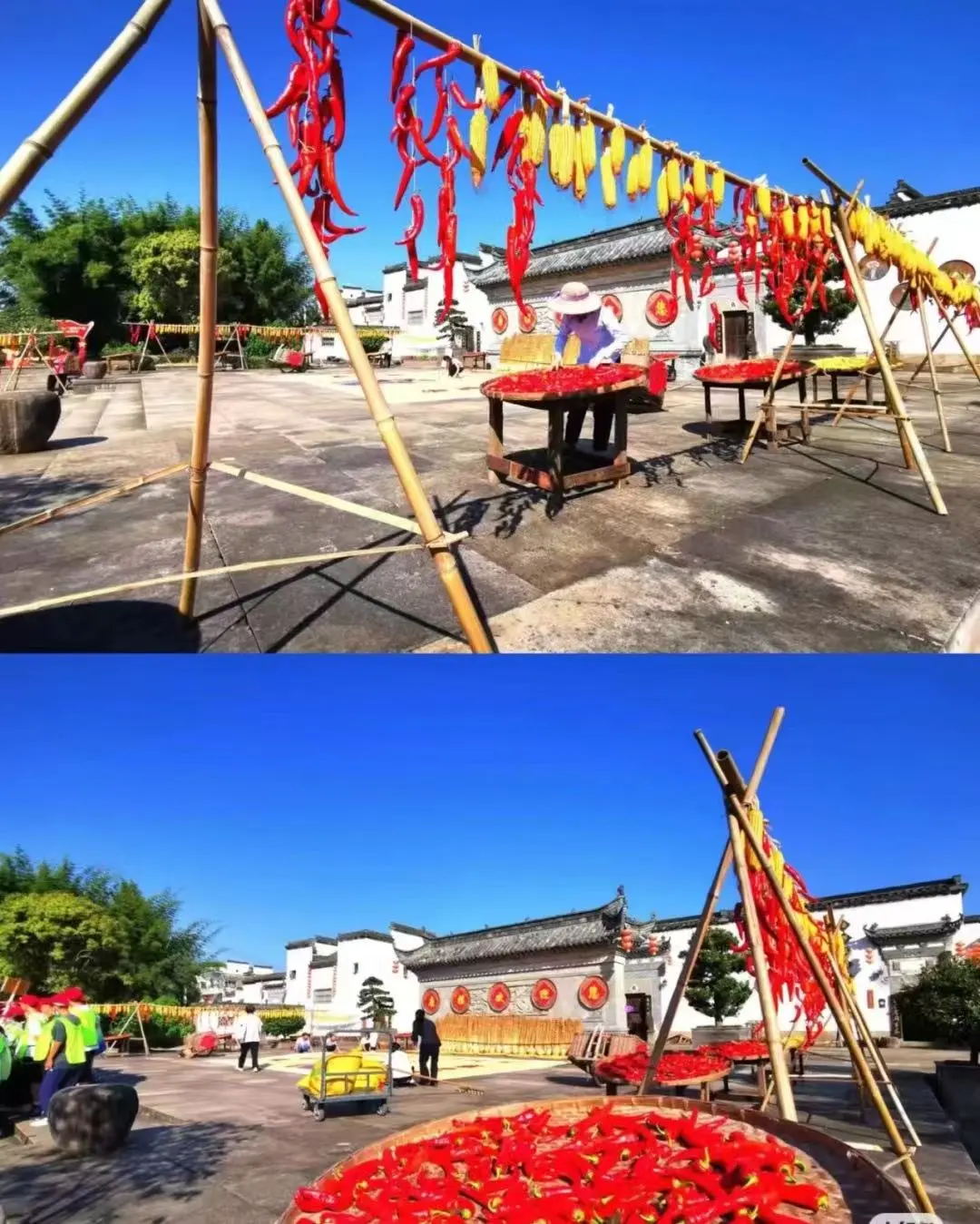 090a95d6bad7aeb7485d1c139eb545ce-sz_229773 090a95d6bad7aeb7485d1c139eb545ce-sz_229773