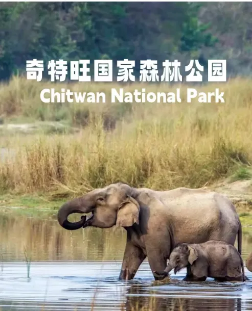 090e181dc2aa193468d51dea390ca4dc-sz_728620 090e181dc2aa193468d51dea390ca4dc-sz_728620