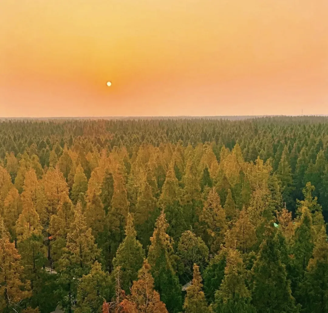 09642879678e1ee83111b6d8e15f8362-sz_1538759-1 09642879678e1ee83111b6d8e15f8362-sz_1538759-1