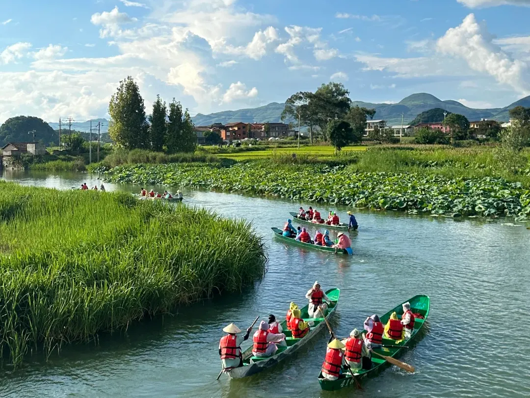 0984ee628a1c16cfafac9463adb401d2-sz_2440079