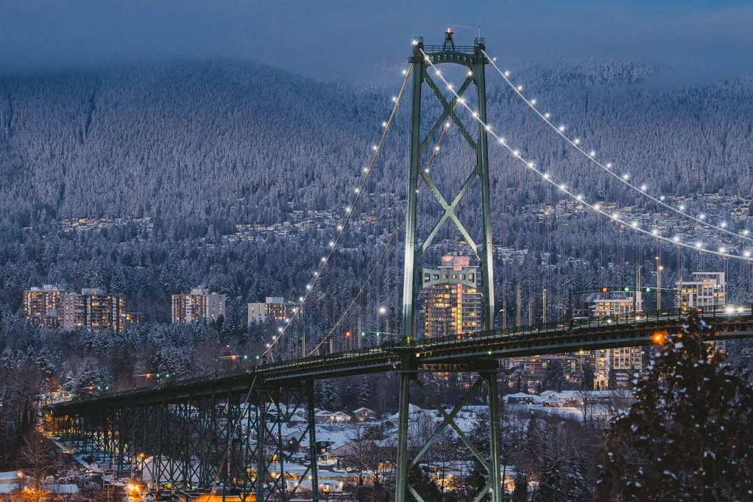 099db99bc5bdd16e1dbf9381230880d9-sz_2911388 099db99bc5bdd16e1dbf9381230880d9-sz_2911388