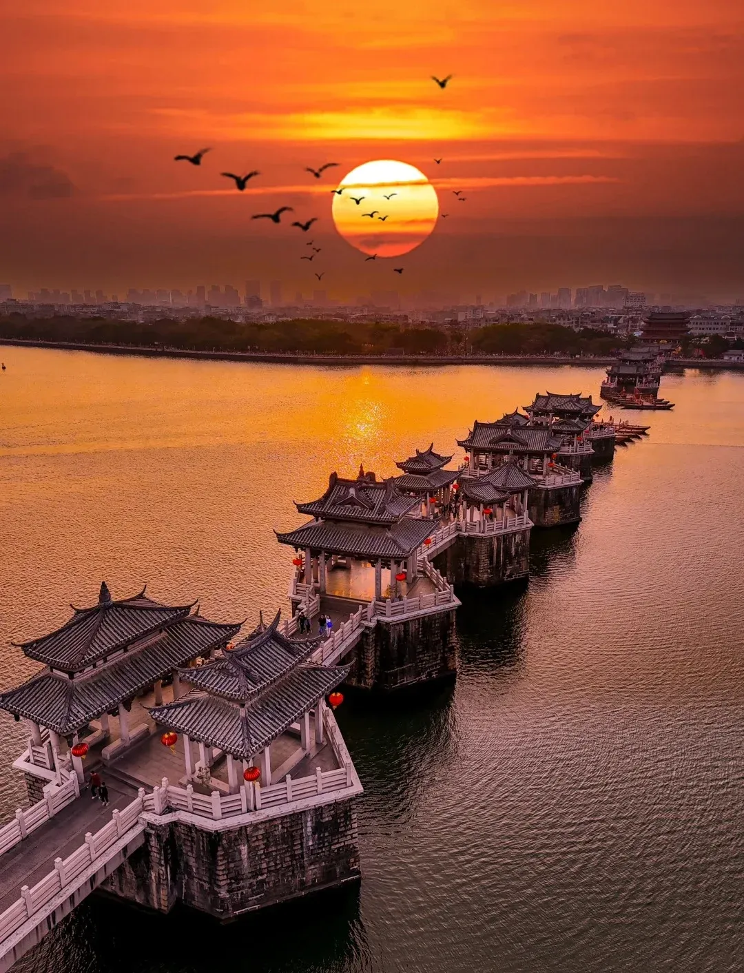 09aa3682448d0bda41397e847fe6ac7b-sz_2890791